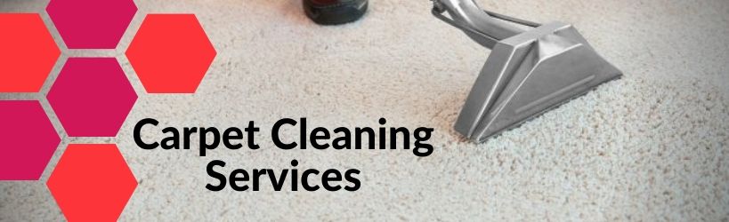 Carpet Cleaning Services 