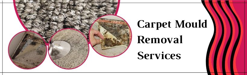 Carpet Mould Removal Services