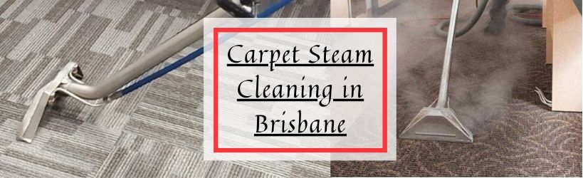 Carpet Steam Cleaning in Brisbane