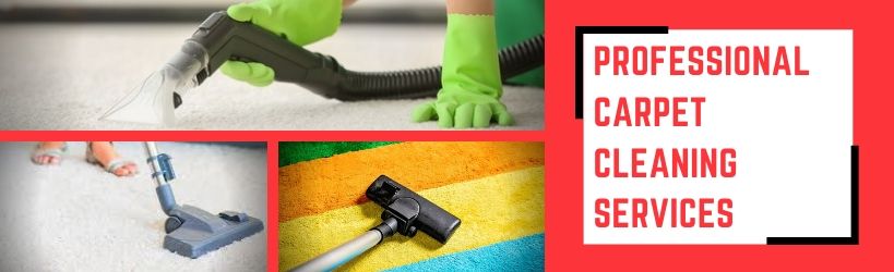 Professional Carpet Cleaning Services