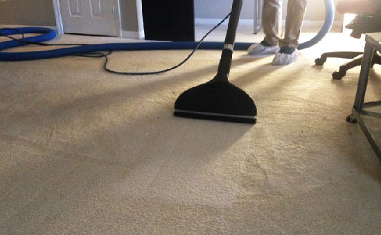 Best Carpet Cleaning