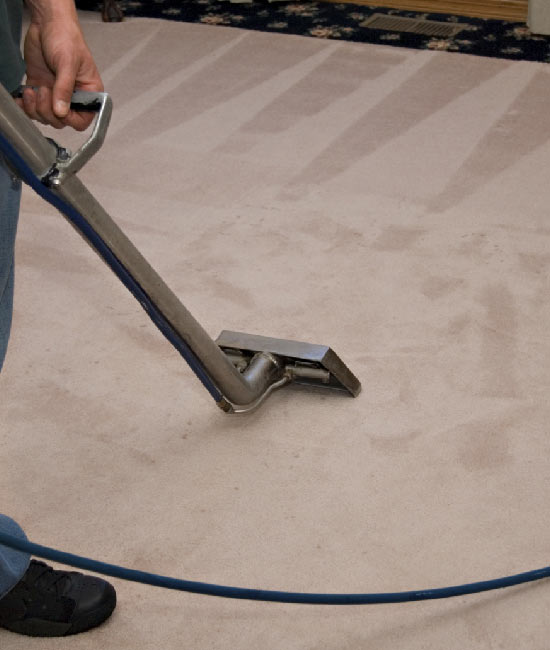 Best Carpet Cleaning Sunshine Coast