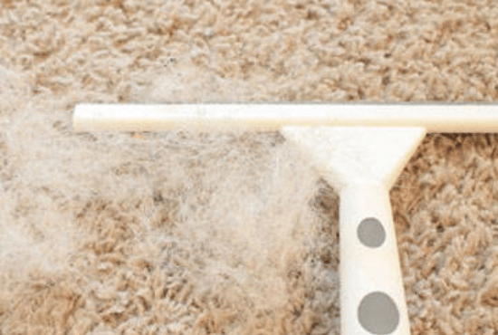 Commercial Carpet Cleaning West End