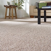 Carpet Disinfection Brisbane