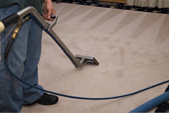 Carpet Sanitisation Service Toowoomba