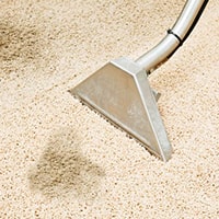 Carpet Stain Removal Brisbane