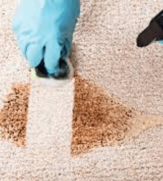 Carpet Stain Removal Robina