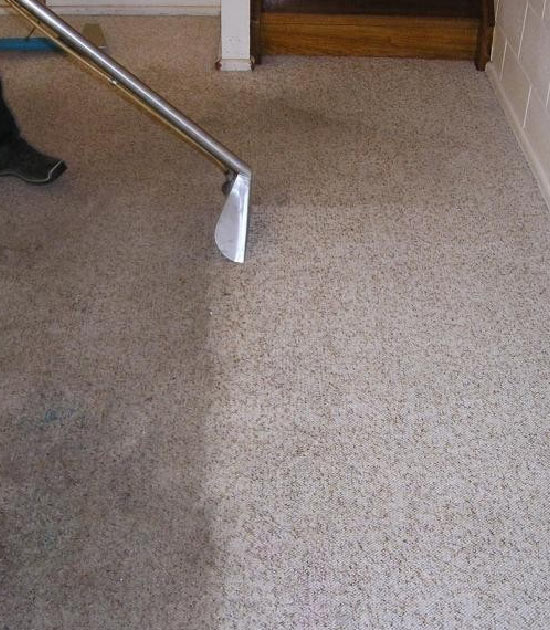 Carpet Steam Cleaning Sunshine Coast