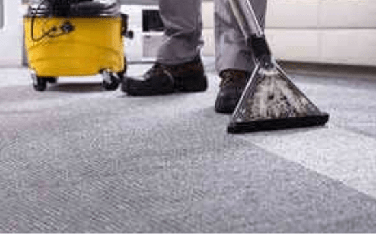 Carpet Cleaning Service Newstead