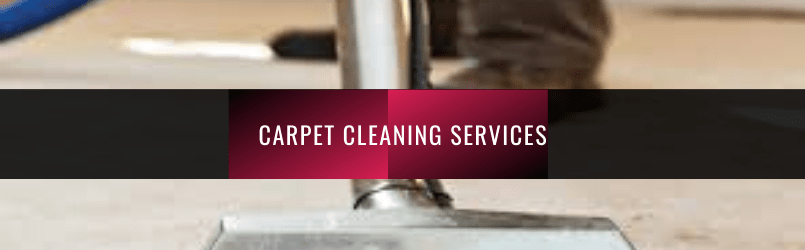 Carpet Cleaning Service