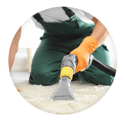 Carpet Cleaning