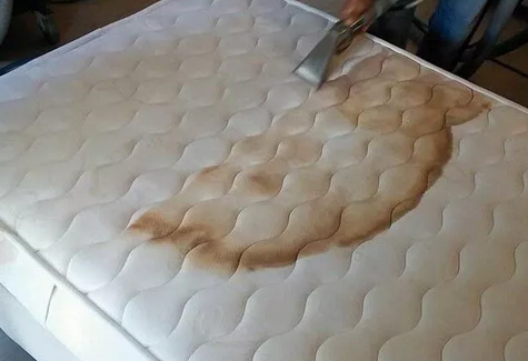 Mattress Urine And Sweat Stain Removal